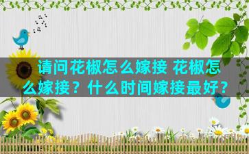 请问花椒怎么嫁接 花椒怎么嫁接？什么时间嫁接最好？